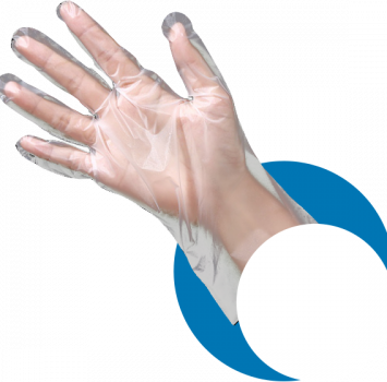 Hand wearing a clear disposable TPE glove